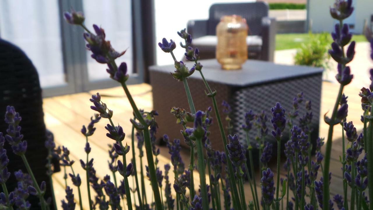 Bed and Breakfast Au Cap Norwoe Saint-Quentin-en-Tourmont Exteriér fotografie